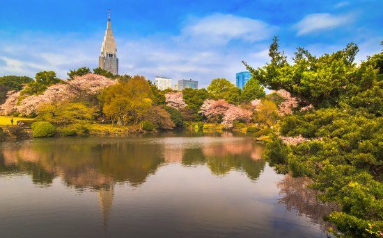 Shinjuku Gyoen nasjonale hage